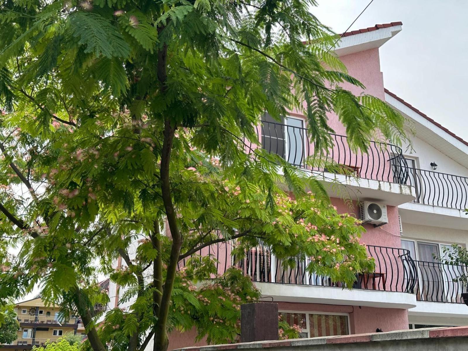 Vila Lucy Costinesti Hotel Kültér fotó